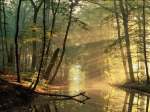 http://karlankas.top/wp-images/bosque.jpg